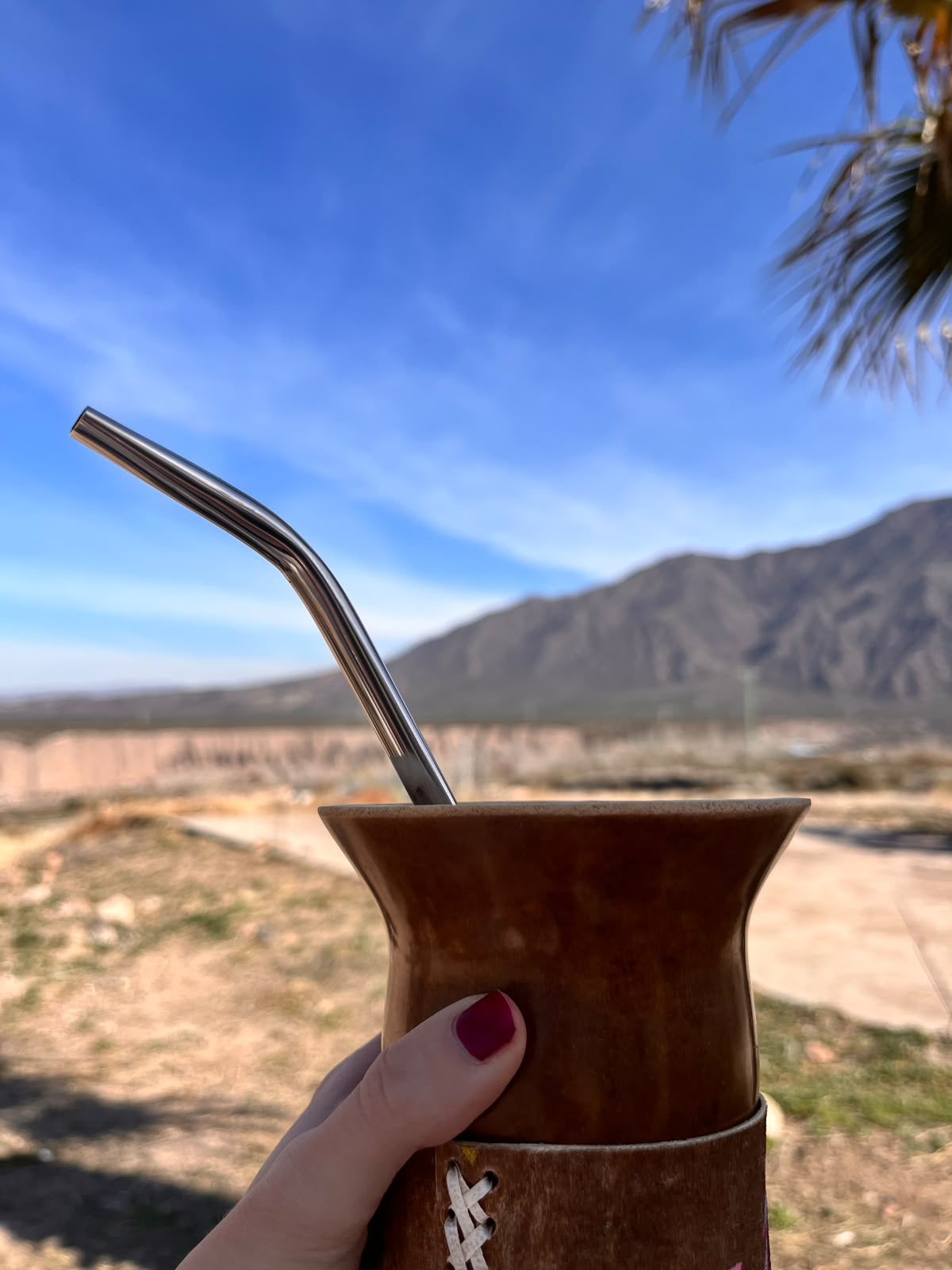 Mate frente a las montañas